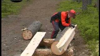 Chainsaw mill with Stihl and Logosol [upl. by Ala]