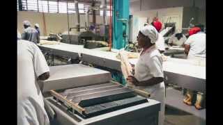 Tuna Processing – Fiji – Bumble Bee Seafoods [upl. by Dom]