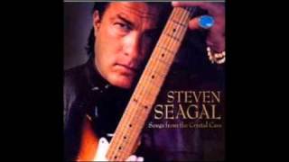 Steven Seagal feat Lady Saw Me Want The Punani [upl. by Nyrrat688]