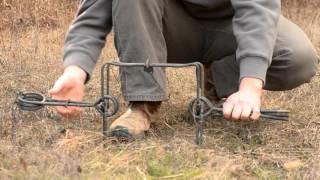 Fur Trapping  How to set a Conibear Trap [upl. by Nivart]