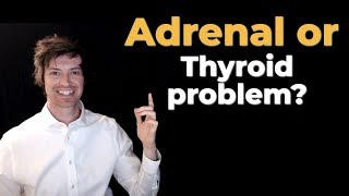 Symptoms of adrenal fatigue A common and DEBILITATING problem [upl. by Leuqim65]