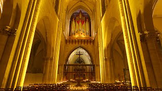 Magdeburger Dom Mayday 2015  Woody  Auferstanden aus Ruinen Nationalhymne ExDDR [upl. by Alfonse]