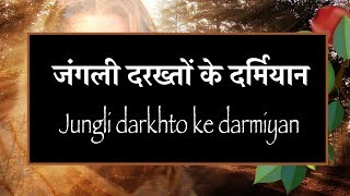 जंगली दरख्तों के दर्मियान Jungli darkhto ke darmiyan [upl. by Florian]