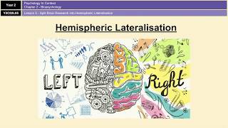 ALevel Psychology AQA Biopsychology  Hemispheric Lateralisation and Split Brain Research [upl. by Bourgeois709]