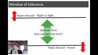 Window of Tolerance  a simple tool for emotional regulation [upl. by Pan]