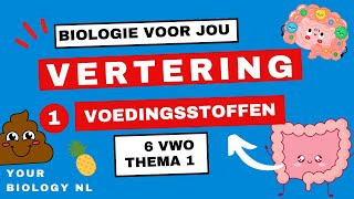 6 vwo  Vertering  1  Voedingsstoffen [upl. by Grof]