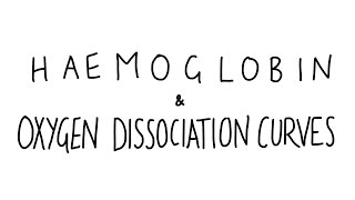 Haemoglobin amp Oxygen Dissociation Curves [upl. by Ydolem]