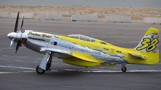 Precious Metal P51D XR Mustang 2013 qualifying run [upl. by Ardiekal]