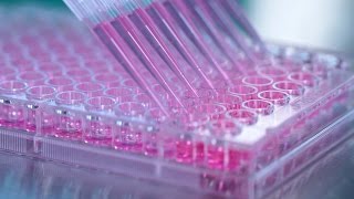 How to Generate Hybridomas in 96Well Plates Using ClonaCell™HY SemiSolid Cloning Medium [upl. by Lucy]