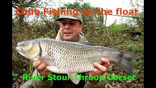 Chub fishing on the River Stour at Throop Dorset [upl. by Ardnazxela710]