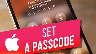 How to Set a Password on iPhone amp iPad  How to Protect Your iPhone amp iPad [upl. by Nyladnewg676]