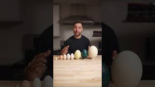 I Cooked the World’s CRAZIEST Eggs [upl. by Tamma805]