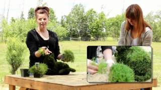 Planting Your Green Piece Wire Art Topiary [upl. by Annaiviv]