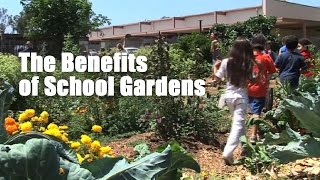 The Benefits of School Gardens [upl. by Ellevart]