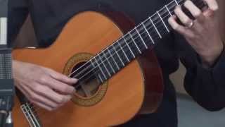 Classical Guitar Lesson 1 [upl. by Araeic707]