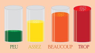 4 adverbes de quantité de base peu assez beaucoup trop  en français fle – grammaire 16 [upl. by Presber698]