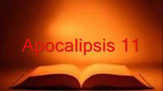 APOCALIPSIS completo Biblia hablada RV 1960 [upl. by Jarvis50]