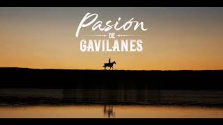 Pasion de Gavilanes 2  BSO quotCanción Oficialquot [upl. by Yhtimit]