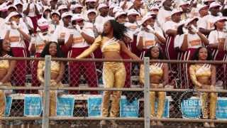 Bethune Cookman  Mr Ice Cream man  HBCU Marching Bands [upl. by Lamek580]