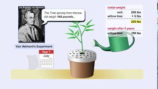 Photosynthesis and Van Helmont Experiment [upl. by Fendig529]