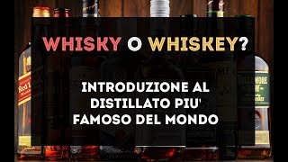 Whisky o Whiskey Introduzione al distillato più famoso del mondo [upl. by Mcneil]