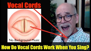 How Do Vocal Cords Work When You Sing No Music [upl. by Halil]