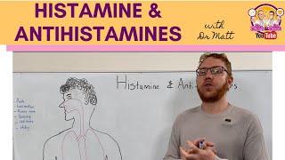 Histamine and Antihistamines Meds [upl. by Lenra]