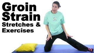 Top 3 Exercises for a Pulled Groin [upl. by Sher]