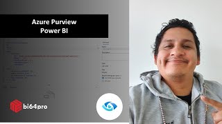 Azure Purview  Power BI [upl. by Nylirac919]