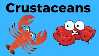 Characteristics of Crustaceans [upl. by Germain]