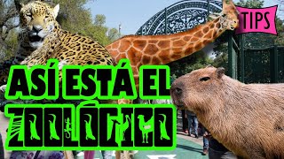 ZOOLÓGICO DE CHAPULTEPEC 2023 ¡Así está TIPS [upl. by Ardnola597]