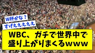 WBC、ガチで世界中で盛り上がりまくるwwwwwwww【なんJ反応】 [upl. by Wichman]