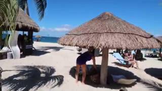 Chankanaab Beach Adventure Park Cozumel Mexico Carnival Breeze [upl. by Arun640]