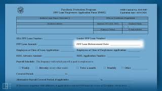 How to Complete the PPP Loan Forgiveness Application Form 3508EZ [upl. by Sucramraj]