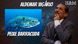 ALDEMAR VIGÁRIO  PEIXE BARRACUDA [upl. by Sixela257]