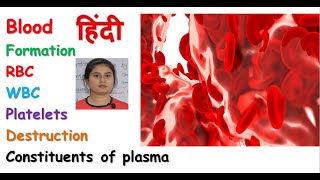 Blood anatomy amp physiology in hindi  RBC  WBC  Platelets  composition of blood [upl. by Wagoner]