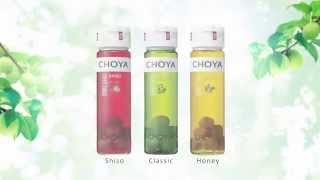 CHOYA Classic Introduction [upl. by Aciretahs]