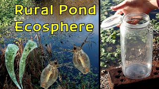 Creating a Rural Pond ECOSPHERE in the WINTER │ Can You Build an Ecosphere During the Winter [upl. by Keely]