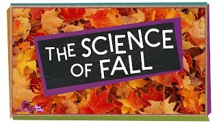 The Science of Fall  Compilation  SciShow Kids [upl. by Craven827]