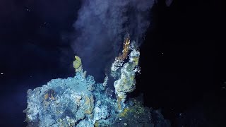 What are hydrothermal vents [upl. by Newcomer]