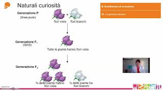 B6 Ereditarietà ed evoluzione  La genetica classica [upl. by Colombi867]