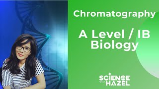 Chromatography Photosynthesis  A LEVEL amp IB BIOLOGY [upl. by Stimson]