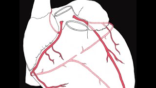 Coronary circulation of the heart [upl. by Hugibert]