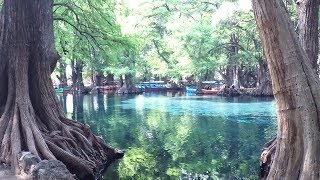 Lago de Camécuaro Michoacán México [upl. by Nnyroc252]