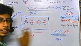 Radial immunodiffusion [upl. by Assillem]