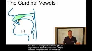 PHO107  Basic Segments of Speech Vowels I [upl. by Hafital]