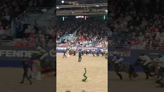 Shetland pony racing at London International horse show [upl. by Ardaid]