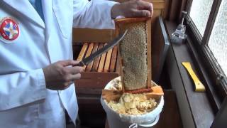 6 Harvesting and processing honey from your honeybees [upl. by Ymmac]