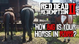 Red Dead Redemption 2 Horses  Size Comparison [upl. by Kaliski]