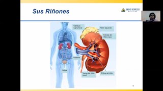 ABC de la enfermedad renal [upl. by Mezoff]